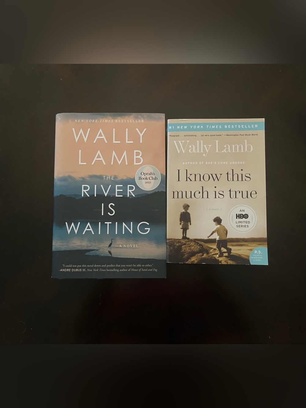Book Set - The River Is Waiting & I Know This Much Is True EXCELLENT CONDITION